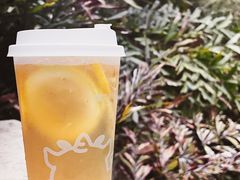 潮汕路边柠檬茶-茶力的小怪兽(梅林卓悦汇店)