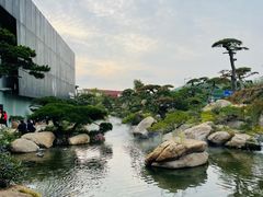 -罗红摄影艺术馆