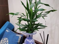 -三承堂经络·艾灸养生馆
