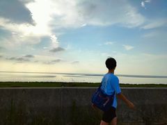 -南汇嘴观海公园