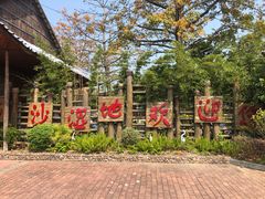 -大湾区中央湿地公园