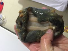 -兴旺渔家