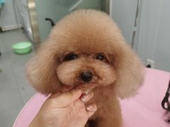 -宠颐生中康贝怡动物医院