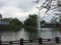 -成飞公园
