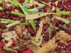 -老板恋上鱼(恒隆广场店)