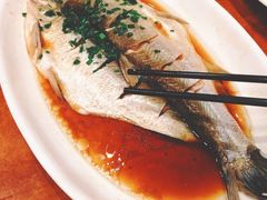 清蒸鲜白鱼-西新饭店(城中店)