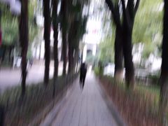 -湖北中医药大学(昙华林校区)