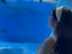 -海合安成都极地海洋公园