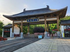-金龙寺国家森林公园
