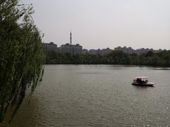 -南汇桃花村