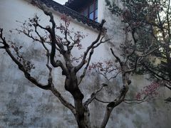 -拙政园