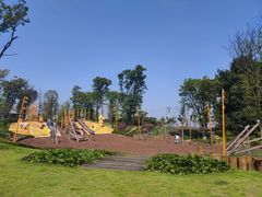 -铁山坪森林公园