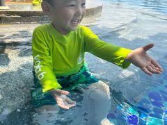 -三亚亚龙湾天域度假酒店