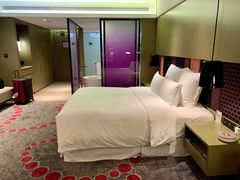 -南京禄口机场雅高铂尔曼大酒店