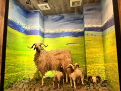 -清真·益鑫羊肉手抓馆(花园北街店)