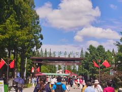 -黄海国家森林公园