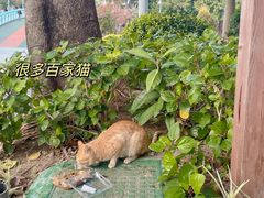-白鹭洲公园