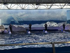 -秦皇岛乐岛海洋王国