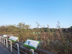 -西湖风景区-江洋畈生态公园