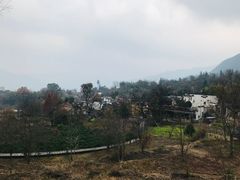 -塔川景区