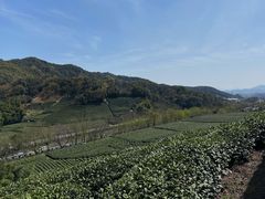-午潮山国家森林公园