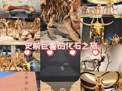 -大庆市博物馆