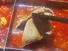 -仁虎老火锅(黄泥磅店)