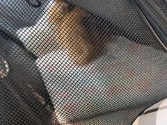 -安安宠医·臻爱宠物医院·宠保定点(营门口路分院)