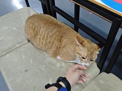 -蓝天射箭馆·专业射箭运动(诚丰广场店)