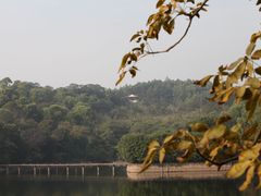-广州莲花山旅游区