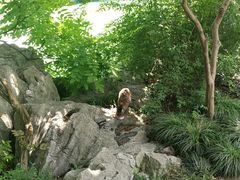 -静安公园(静安寺街道)