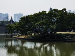 -江心屿景区