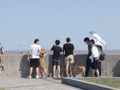 -南汇嘴观海公园