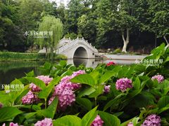 -泰州凤城河风景区-泰山公园