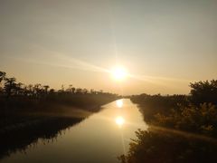 -芒洲湿地公园
