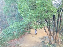 -灵岩山风景区