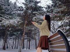 -北陵公园