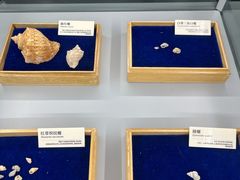 -天津古林古海岸遗迹博物馆