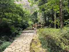 -雁荡山三折瀑景区