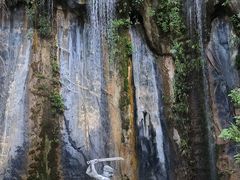 -西双版纳原始森林公园