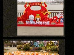 -上海长兴岛郊野公园