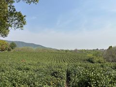 -敬亭山风景名胜区