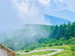 -白草畔自然风景区