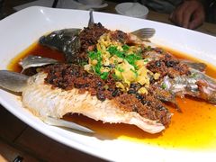 千岛湖大鲫鱼-张福记(陇海中路店)