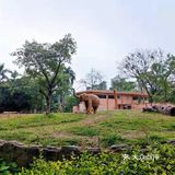 遛娃｜广州动物园20元的快乐