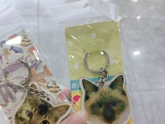 -三花喵·撸猫购宠·宠物生活馆(虹桥南丰城店)