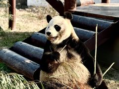 -杭州野生动物世界