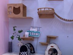 -爪爪喵星球·猫舍(前海卓越店)