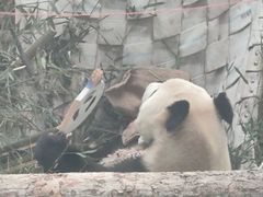 -大连森林动物园