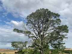 -霍比特人村